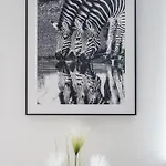 Apartament Harmony Hideaway
